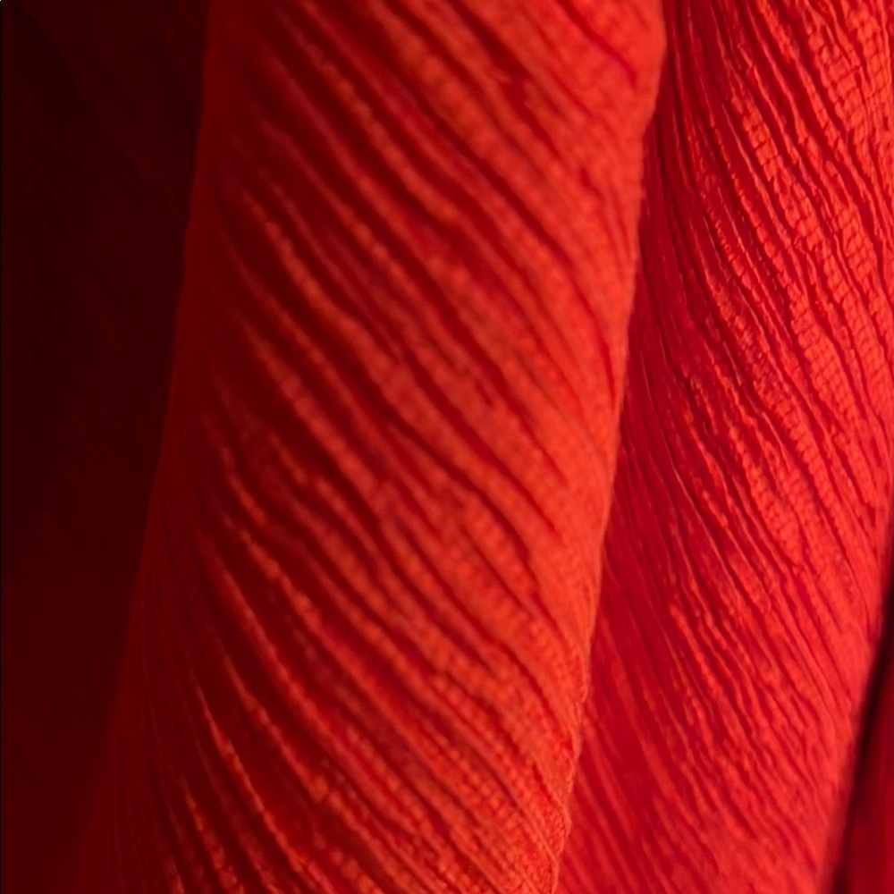 NWT Nina Parker white Wide Leg available in Red also (separately ) - Picture 7 of 14